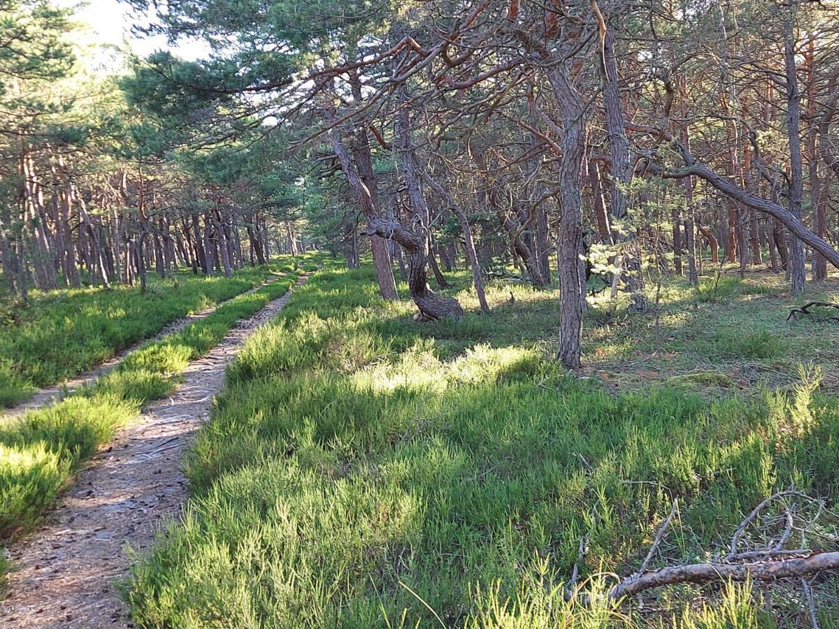 Greyowka Dom Kryty Strzecha W Gardna Park Villa Czysta Dış mekan fotoğraf